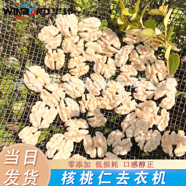 核桃仁純（chún）物（wù）理去皮機，核桃仁深加工去皮脫衣設備